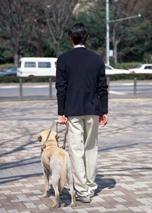 安心・痛みの少ない内視鏡検査なら広島市南区の専門クリニックで早期発見！