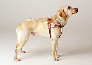 気軽に相談できるいわき市の消化器内科